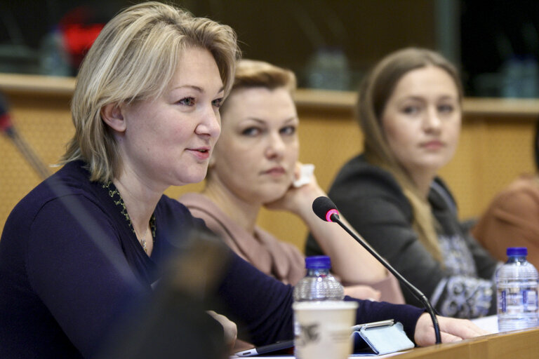 Photo 14 : Informal meeting  Group of Friends of  EuropeanUkraine