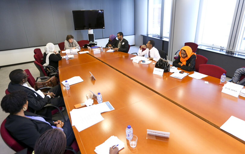 Zdjęcie 3: Meeting with Young Political Leaders from Sudan