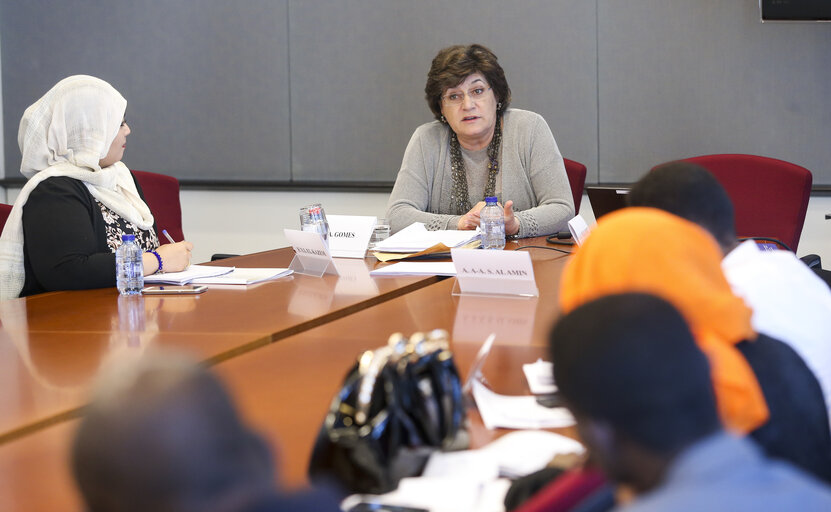 Zdjęcie 6: Meeting with Young Political Leaders from Sudan