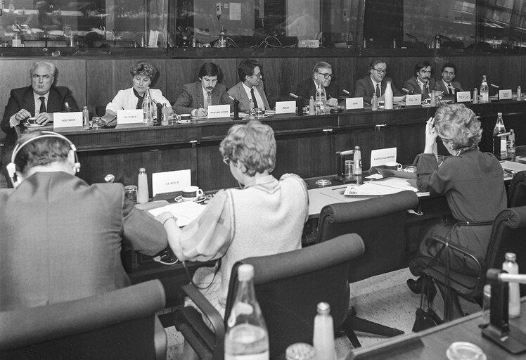 Fotografi 3: Hearings at the EP in Brussels