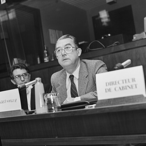 Fotografia 4: Hearings at the EP in Brussels