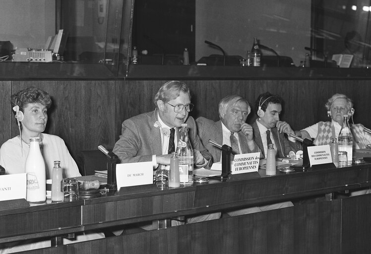 Hearings at the EP in Brussels