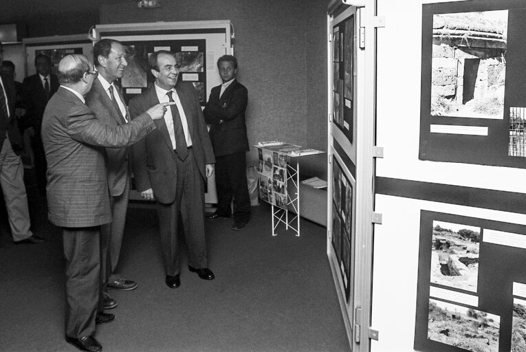 Photo 7 : Art exhibition hosted by Italian Meps at the European Parliament