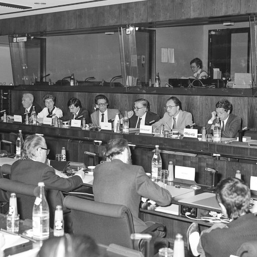 Fotografia 7: Hearings at the EP in Brussels