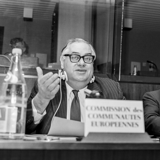 Fotografia 8: Hearings at the EP in Brussels