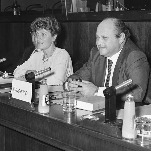 Hearings at the EP in Brussels