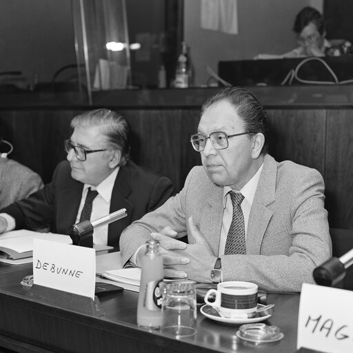 Fotografia 12: Hearings at the EP in Brussels