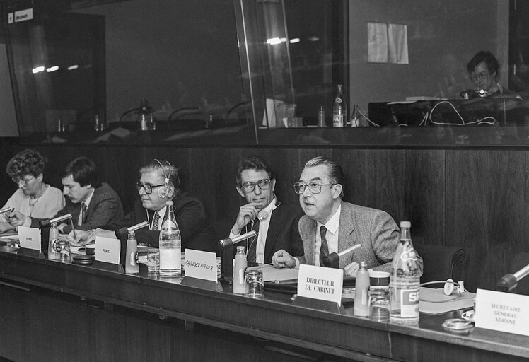 Hearings at the EP in Brussels