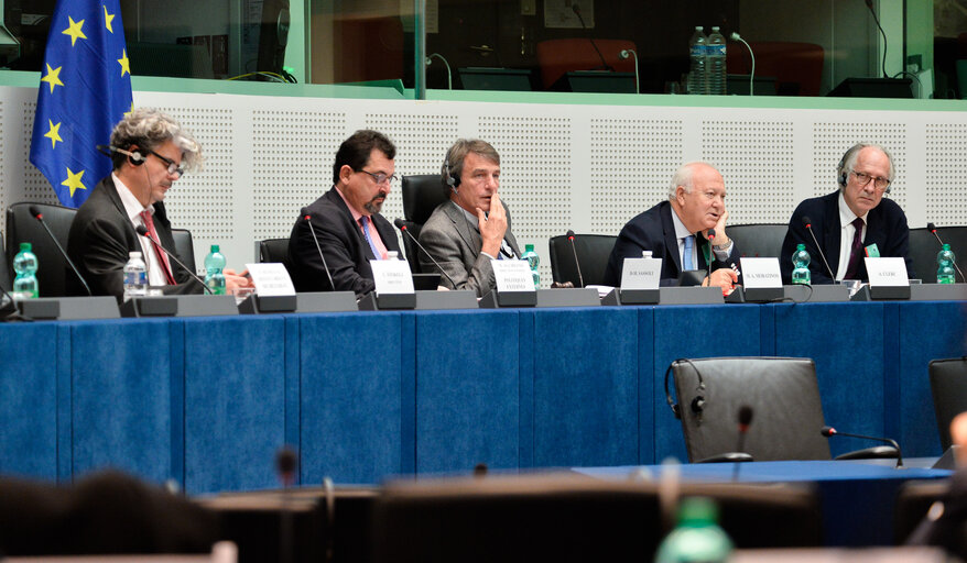 EP delegation to the Parliamentary Assembly of the Union for the Mediterranean