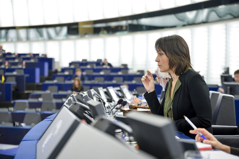 Photo 5: Plenary session week 47 2016 in Strasbourg  - Outcome of COP 22 in Marrakesh  Council and Commission statements