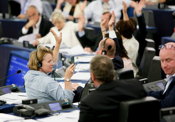 Photo 19 : Plenary session in Strasbourg - Week 27  2016. Votes