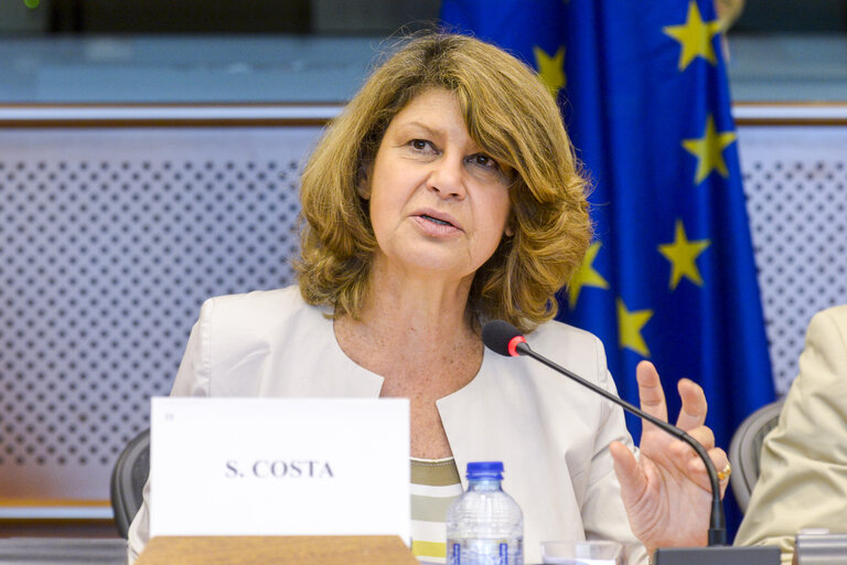 Billede 4: Committee on Culture and Education (CULT). - The implementation the European Strategy on Multilingualism