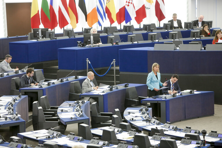 Fotografia 2: Plenary session in Strasbourg - Week 27 2016 - New initiatives related to the Middle East Peace Process