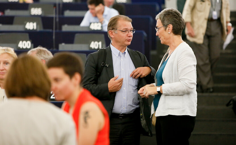 Photo 22 : Plenary session in Strasbourg - Week 27  2016. Votes