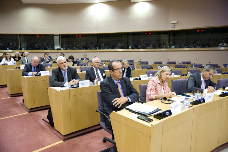 Foto 1: Workshop: Optimising EU relations with third countries around the electoral cycle