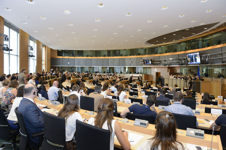 Photo 10: Extraordinary AFET meeting on Turkey
