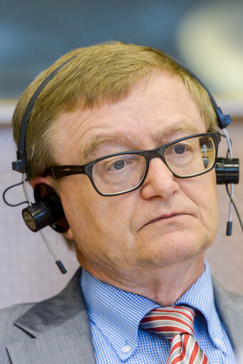 Billede 2: Committee on Culture and Education (CULT). - The implementation the European Strategy on Multilingualism