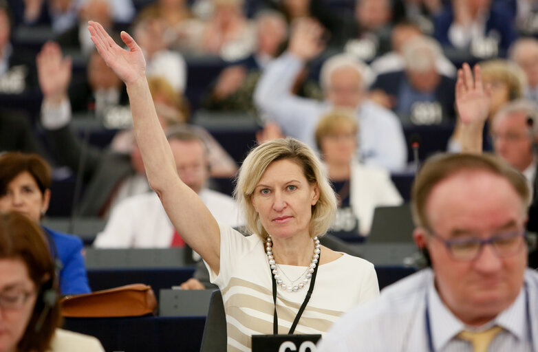 Photo 21: Plenary session in Strasbourg - Week 27  2016. Votes