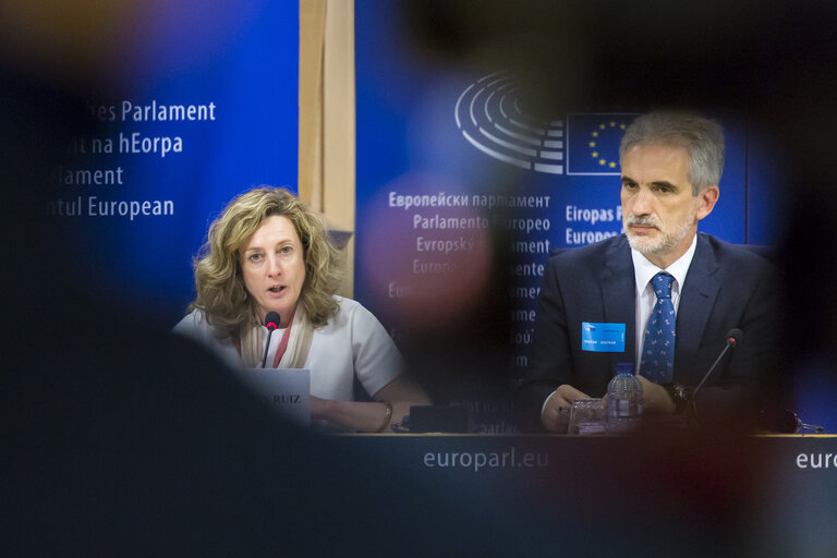 Valokuva 3: Press Conference on Access to medicines in the EU by Soledad CABEZON RUIZ (S&D, ES), rapporteur.