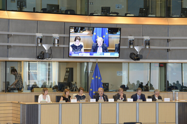 Photo 9: Extraordinary AFET meeting on Turkey