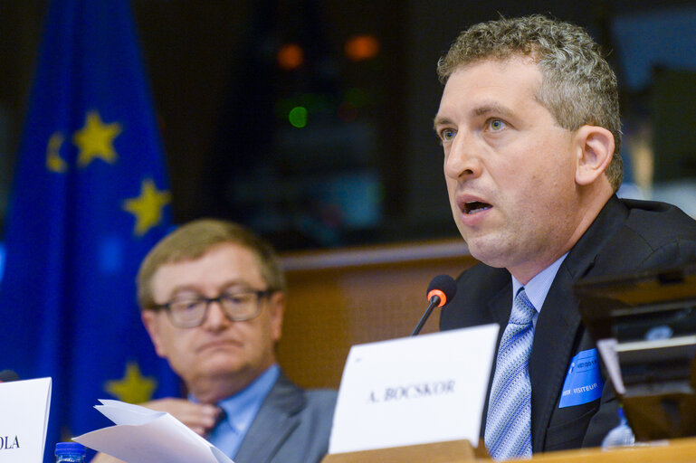 Billede 9: Committee on Culture and Education (CULT). - The implementation the European Strategy on Multilingualism