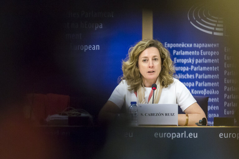 Valokuva 11: Press Conference on Access to medicines in the EU by Soledad CABEZON RUIZ (S&D, ES), rapporteur.