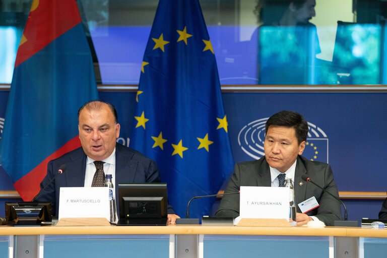 Nuotrauka 18: The 15th EU-Mongolia inter-parliamentary meeting