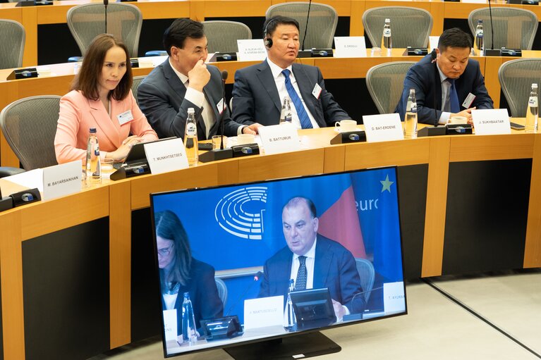 Nuotrauka 17: The 15th EU-Mongolia inter-parliamentary meeting