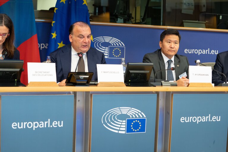 Nuotrauka 12: The 15th EU-Mongolia inter-parliamentary meeting