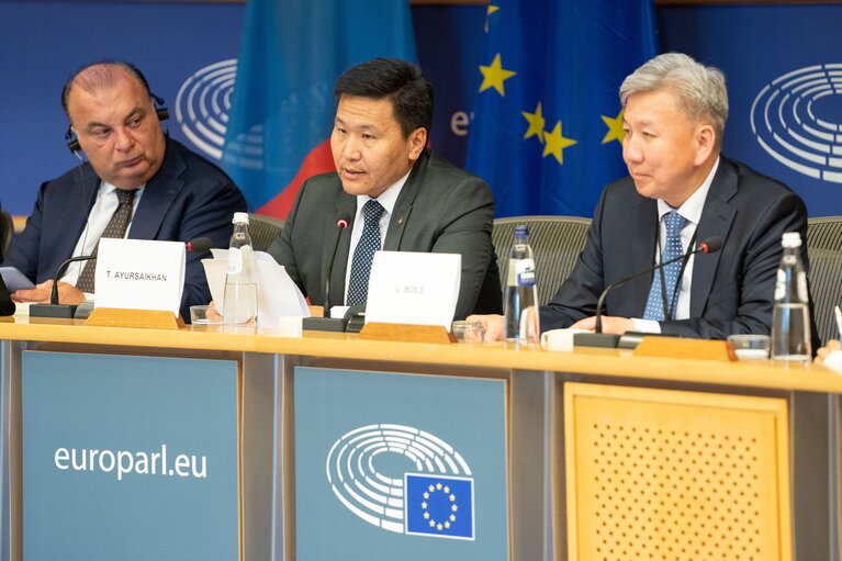 Nuotrauka 4: The 15th EU-Mongolia inter-parliamentary meeting