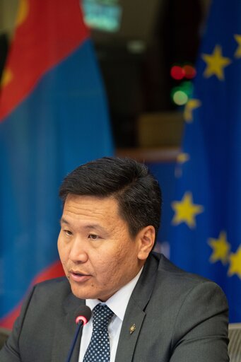 Nuotrauka 6: The 15th EU-Mongolia inter-parliamentary meeting