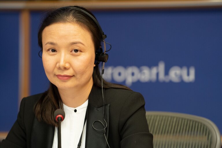 Nuotrauka 14: The 15th EU-Mongolia inter-parliamentary meeting