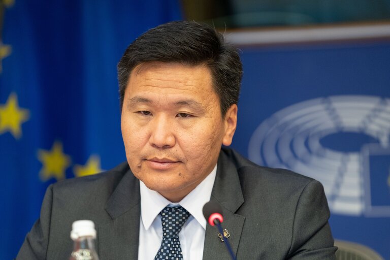 Nuotrauka 8: The 15th EU-Mongolia inter-parliamentary meeting