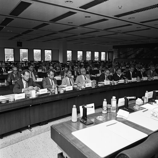 Meeting at the European Parliament in Brussels in June 1985