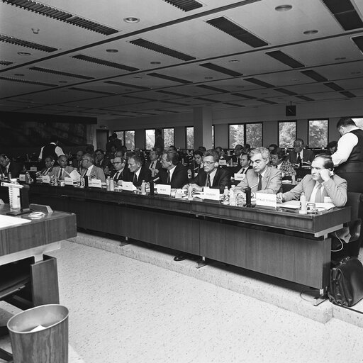 Meeting at the European Parliament in Brussels in June 1985