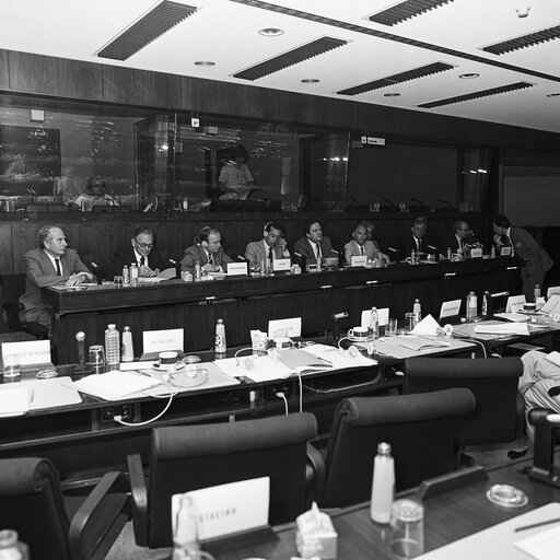 Fotografie 6: Meeting at the European Parliament in Brussels in June 1985