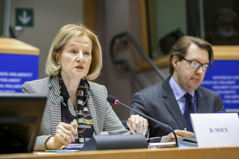 Foto 19: Public Hearing with Chair of the Supervisory Board of the ECB  EP Committee on Economic and Monetary Affairs