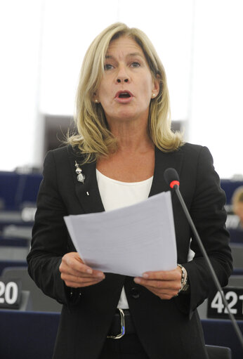 plenary session week 41 2013 - Convention on preventing and combating violence against women