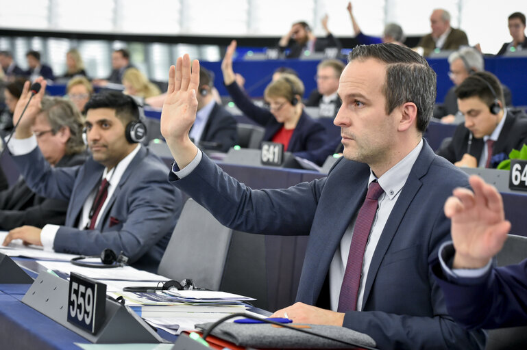 Fotografie 3: Arndt KOHN voting in plenary session in Strasbourg