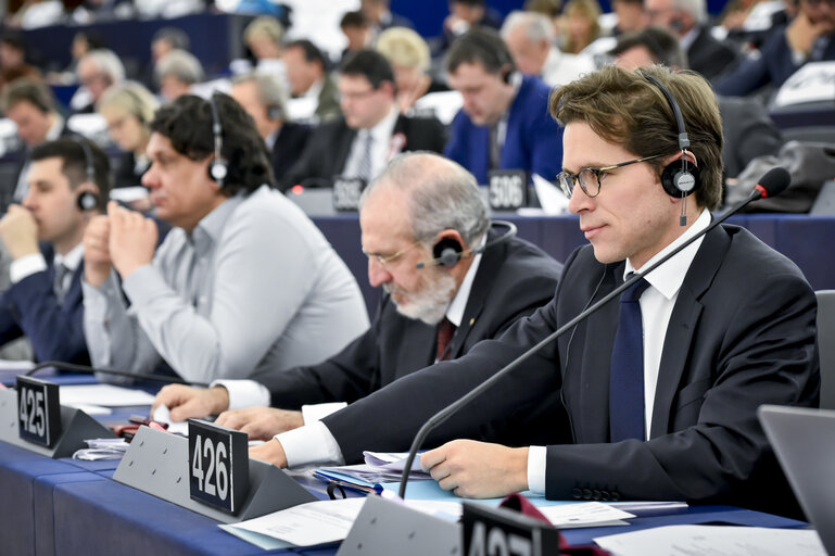 Fotografie 1: Geoffroy DIDIER voting in plenary session in Strasbourg