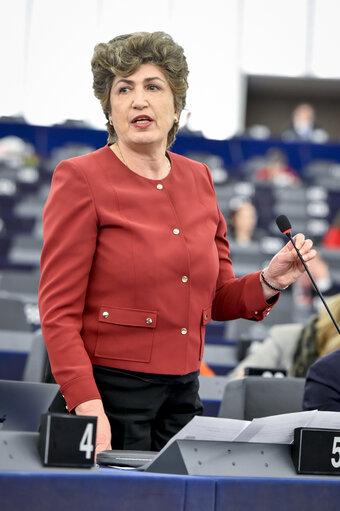 Fotografie 4: Maria Joao RODRIGUES in plenary session in Strasbourg