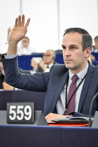 Fotografie 5: Arndt KOHN voting in plenary session in Strasbourg