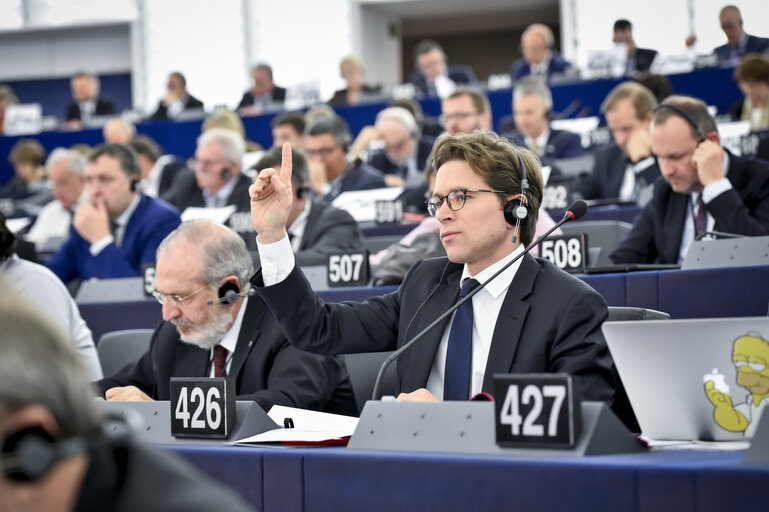 Geoffroy DIDIER voting in plenary session in Strasbourg