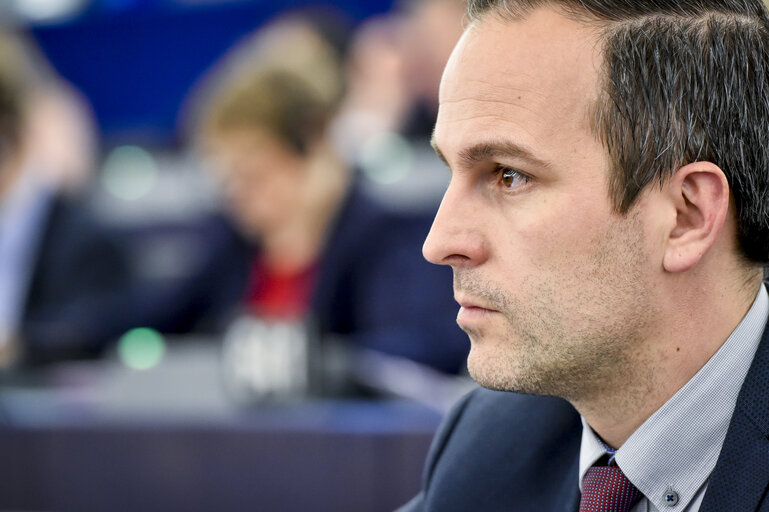 Fotografie 2: Arndt KOHN voting in plenary session in Strasbourg