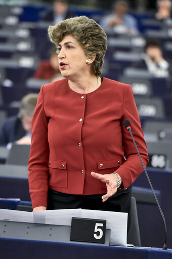 Fotografie 2: Maria Joao RODRIGUES in plenary session in Strasbourg