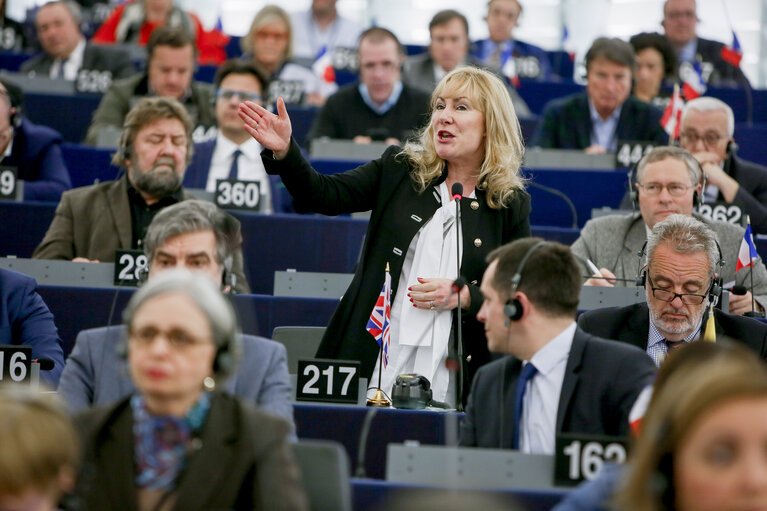 EP Plenary session - Votes