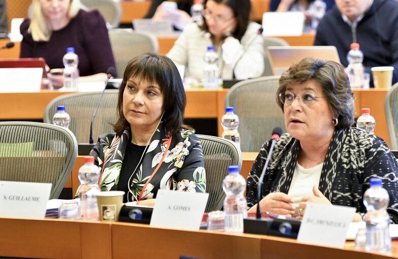 Foto 4: TERR public hearing - ' How to improve Counter Terrorist Financing within the EU ? '