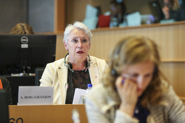 BUDG, CONT and LIBE joint hearing ' Assessing the flow of EU migration funding within the Union '