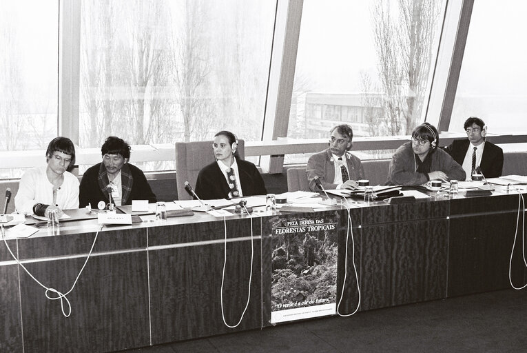 Foto 2: Meeting on the protection of tropical forests at the EP in Strasbourg, in February 1991.