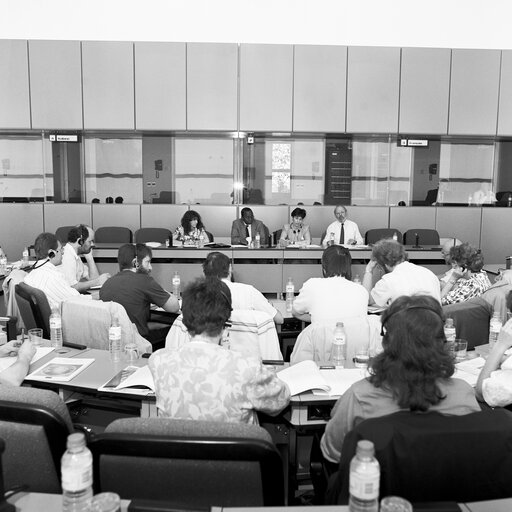 Meeting at the European Parliament in Brussels